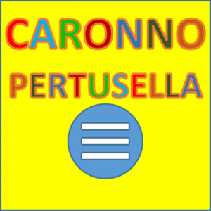 Indice / Elenco - Artisti - Caronno Pertusella