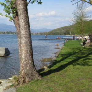 Lago di Comabbio - Corgeno