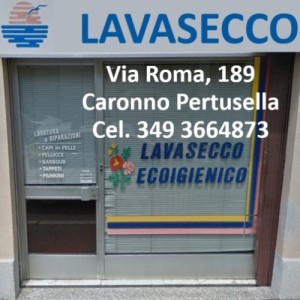 Lavasecco Quadri Silvia - Caronno