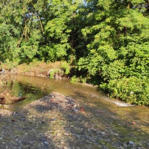 Lura - Parco di viale Kennedy - Caronno